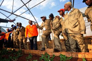 Government-Subsidized Skills Training Programs You Should Know About