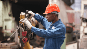 Labour Activation Programme's