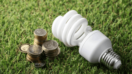 Free Basic Electricity Grant