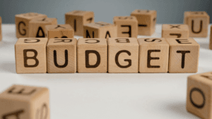 South Africa’s 2025 Budget Speech Predictions South Africa’s 2025 Budget Speech Predictions