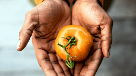 Food Safety Matters