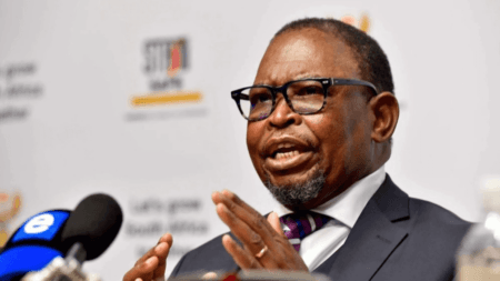 SASSA SRD Grant Continue as Jobseekers' Support Scheme, Says Minister