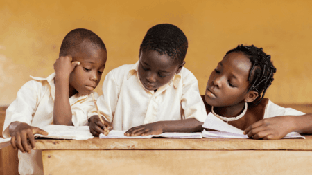 What is the BELA Bill in South Africa