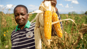 Support for Small Farmers