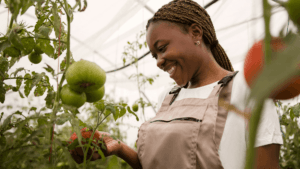 Top Crops to Grow at Home for Food and Extra Income
