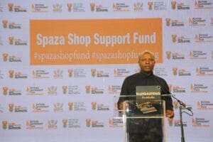 Gauteng Township Economic Development Amendment Bill