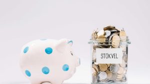 Stokvel Bank Statement Guide: Understand Fees & Charges Stokvel Bank Statement Guide: Understand Fees & Charges