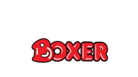 Boxer Double Your SASSA Grant in February 2026!