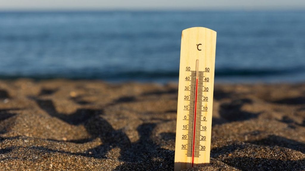 Cape Provinces Weather Alert: Heatwave and Fire Danger Warning Issued