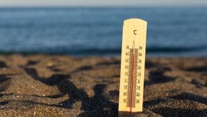 Cape Provinces Weather Alert: Heatwave and Fire Danger Warning Issued